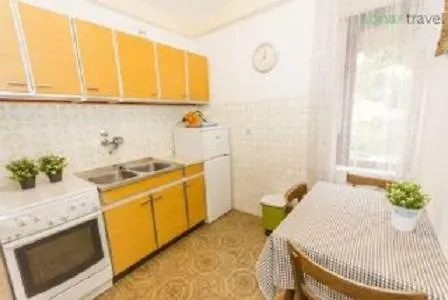 Apartment Pavisic *